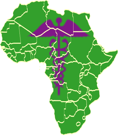 africa-wise