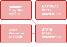 County party organization chart