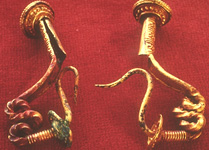 Gold fibulae, pre-restoration