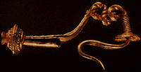 View of gold fibulae