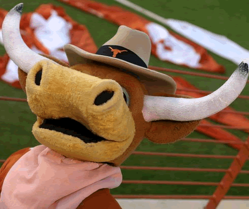 bevo