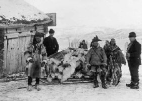 Sami with a pile of reindeer fur on slate