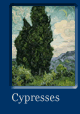Link To Big Image Of The Painting Cypresses