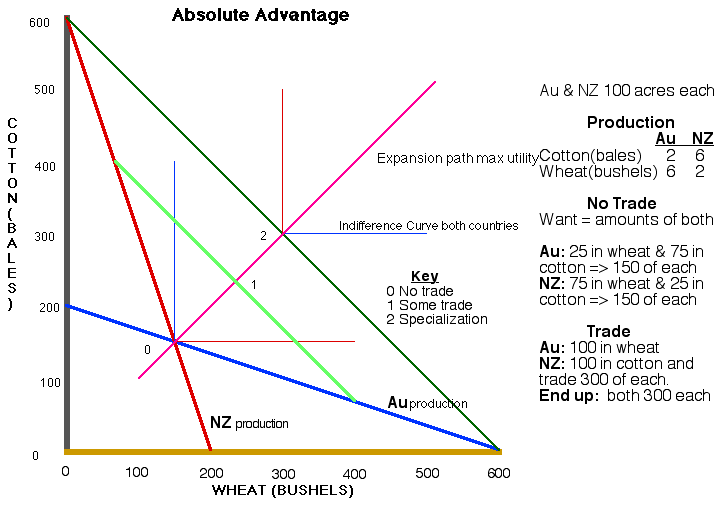 What is absolute advantage?