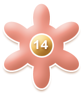 Enter Unit 14