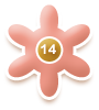 Unit 14