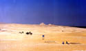 Western desert