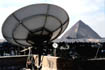 Dish