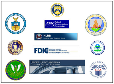 Executive Agencies and Public Policy