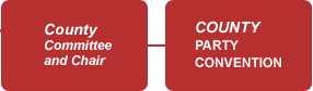 County party organization chart County party organization chart