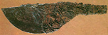 Razor blade in Hochdorf tomb