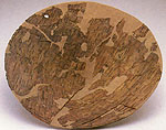 Birch-bark hat, reconstructed