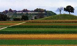 Hohenasperg with Kleinaspergle in foreground