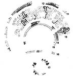 Distribution of incised ornament