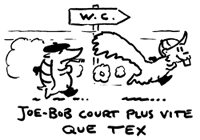 joe-bob court