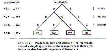 Production Rule & Decision Tree