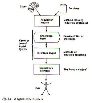 A Typical Expert System